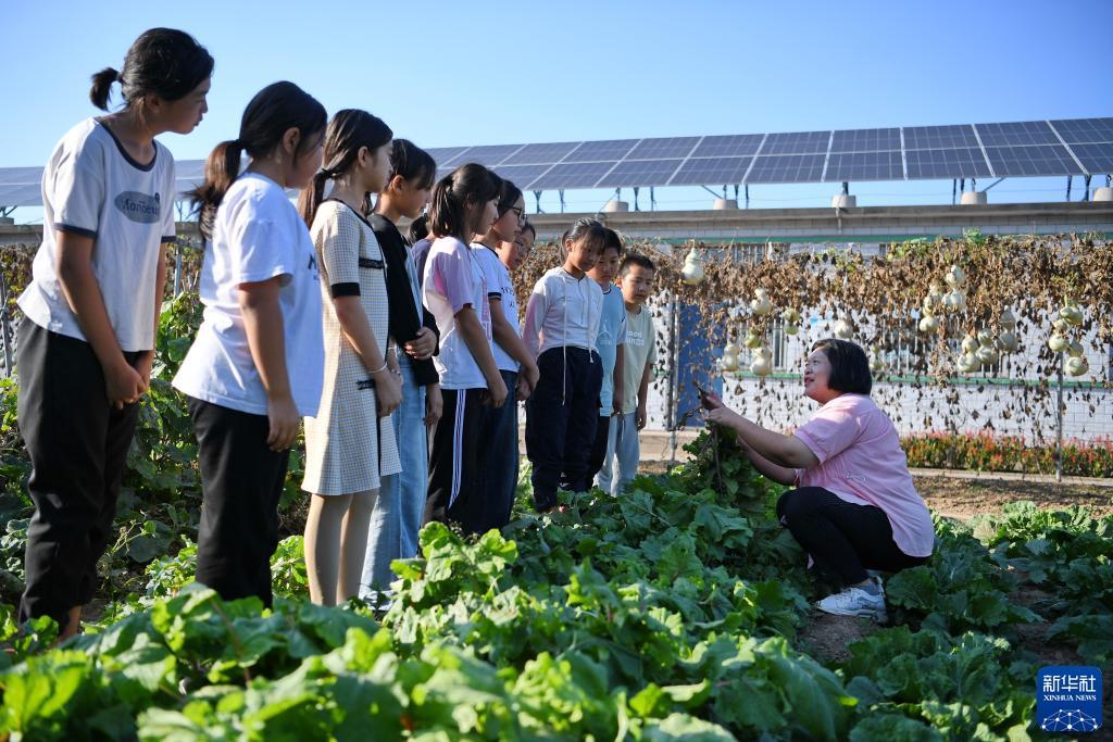 4008云顶集团备用